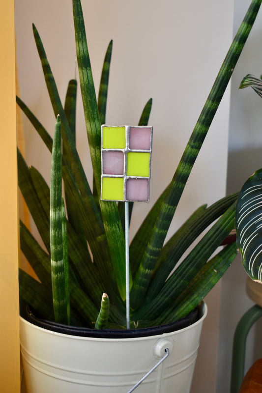 Potted plant with a decorative stake featuring colorful squares in an indoor setting.
